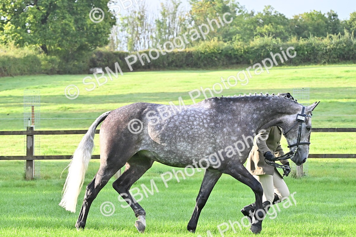 SBM_32605 - S15 - Top Turnout In Hand