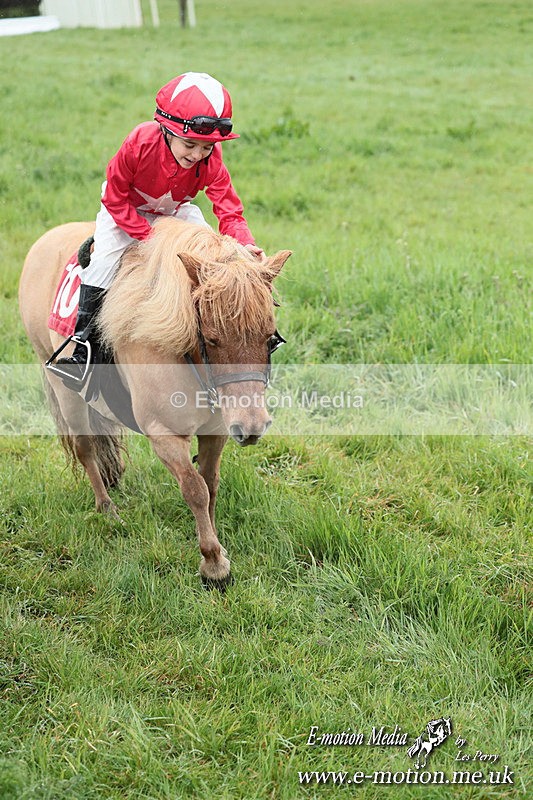 SHETPR 210425 254 - Shetland Ponies Paxford Races 21/04/25
