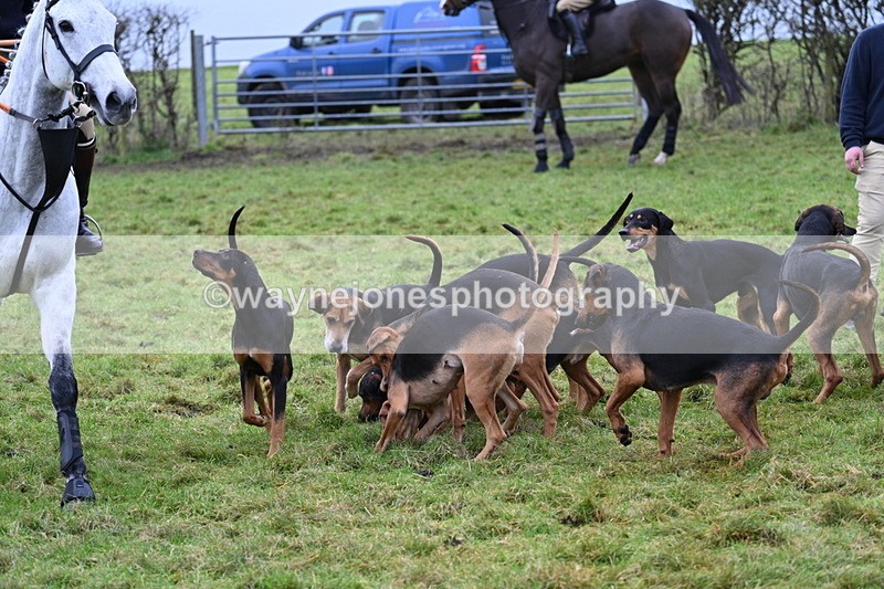 WJ7_6460 - Meet 12.30