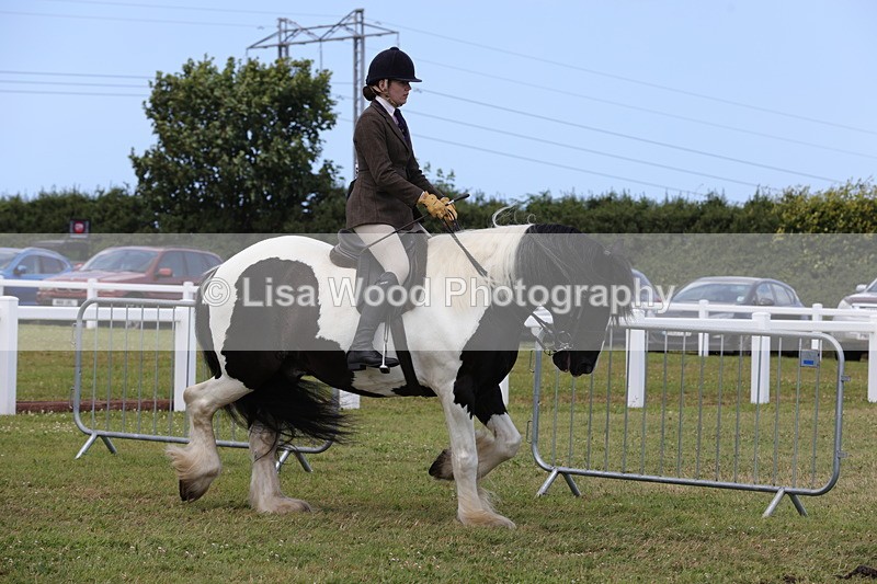 1X9A4339 - Class 34: Veteran Ridden