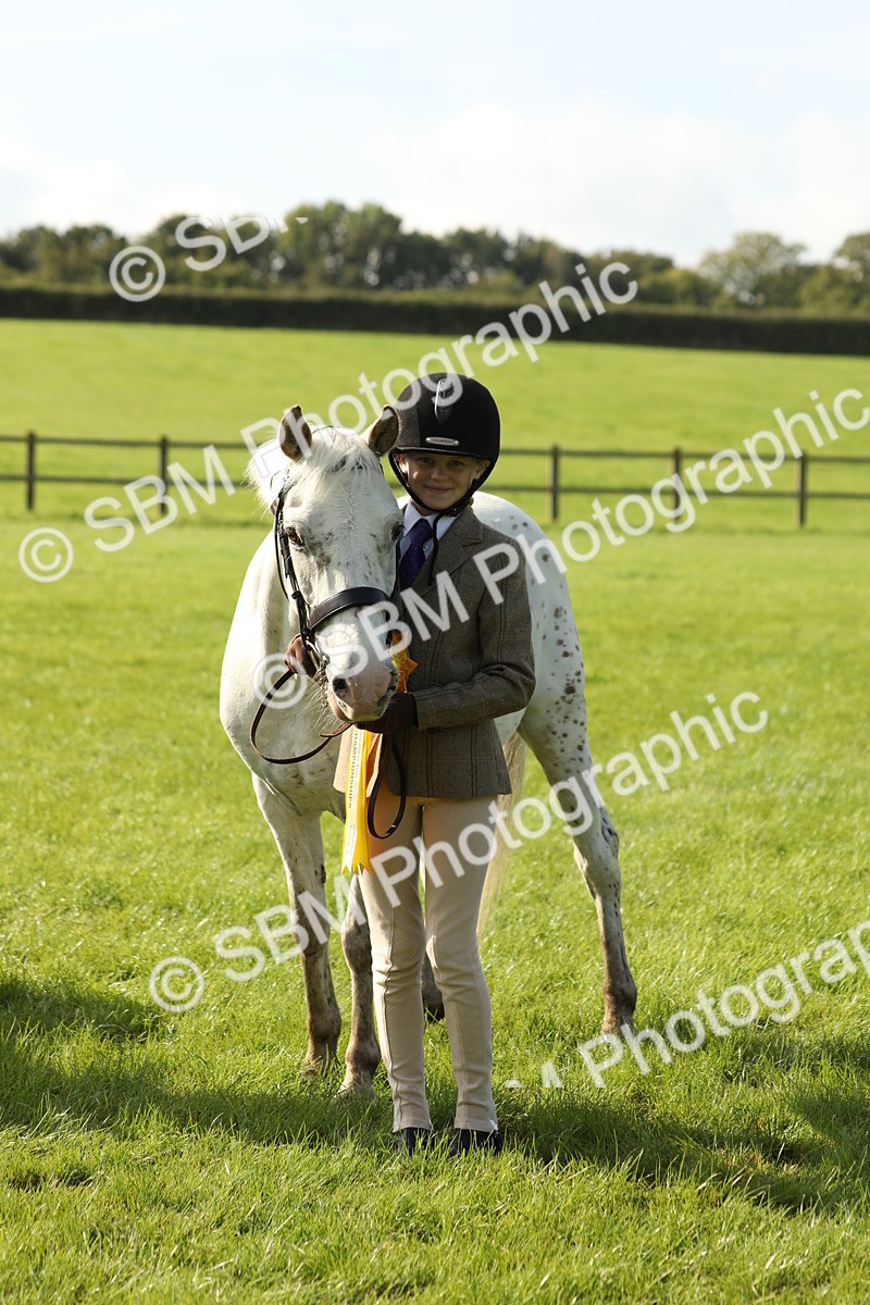 SBM_61007 - S43 - Coloured Pony In Hand