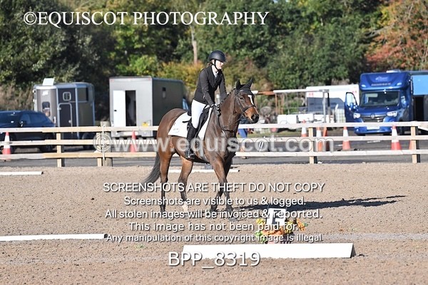 BPP_8319 - SHORT ARENA INTRO 1