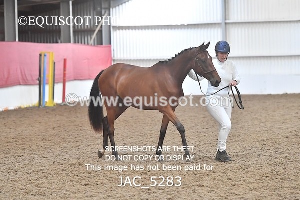 JAC_5283 - 7 L'Espirits Little Unicorn