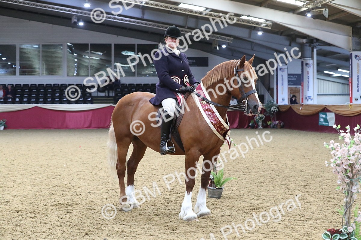 SBM_16535 - Class 502 M&M Ridden Supreme Final