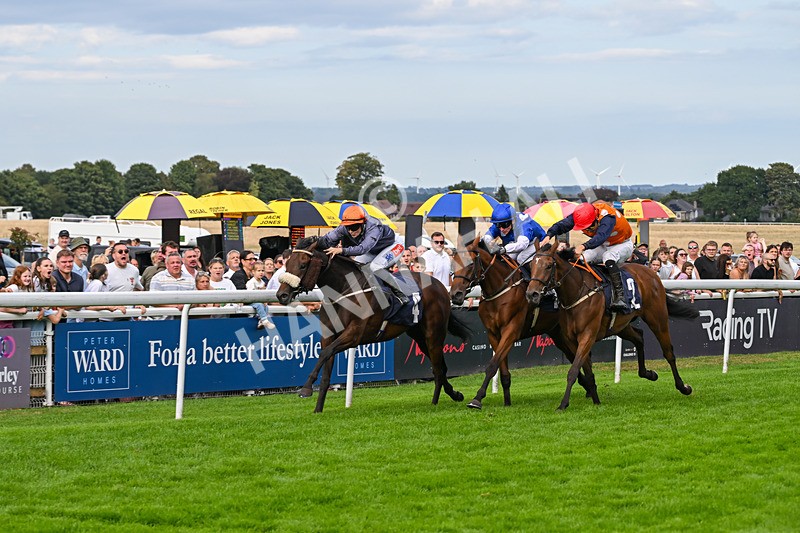 300826-Race 6-Court Legend-1552 - Race 6 4.30pm Return Of The Legend Martin Spencer Nursery Handicap