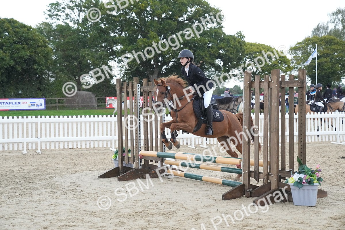 SBM_01562 - J54 - Clear Round 50cm