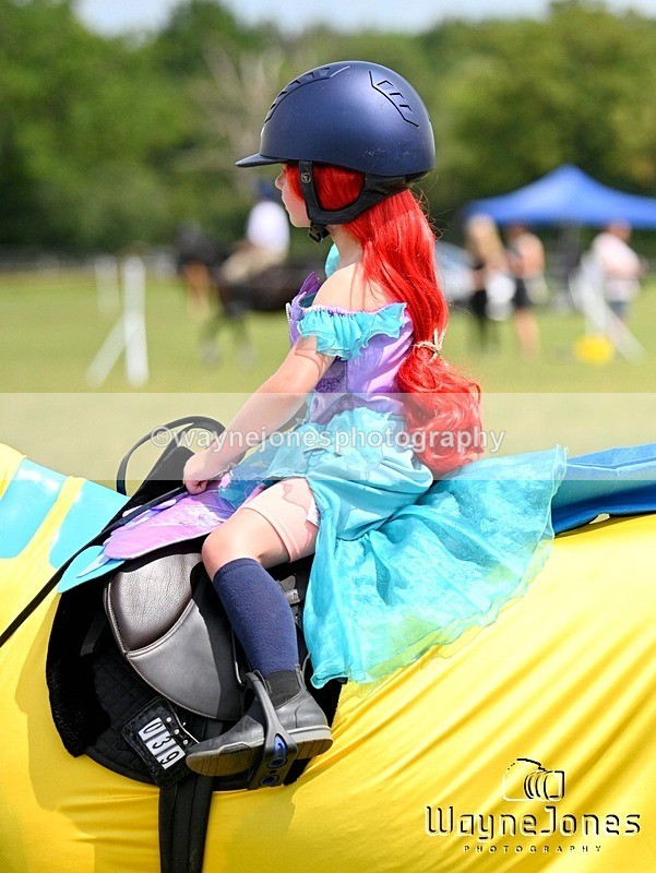 WJ7_7929 - Nancy And Churchill SORC summer show 21-06-26