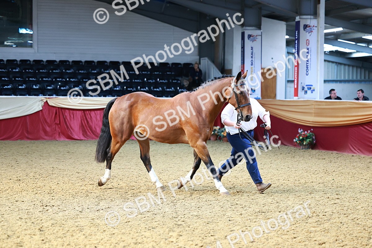 SBM_22199 - Class 902 - Supreme Final - IH Diamond