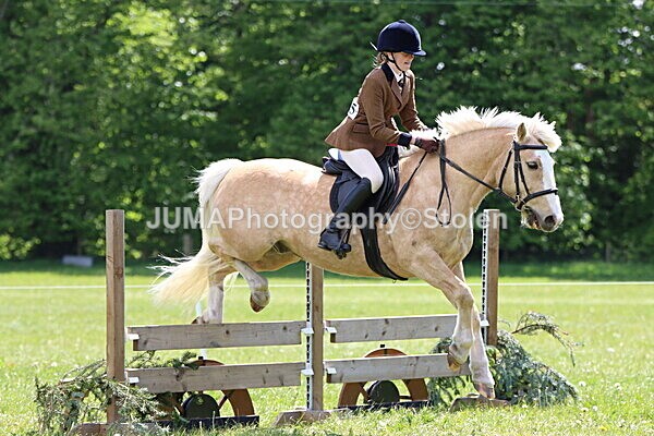 IMG_3680 - Working Hunter