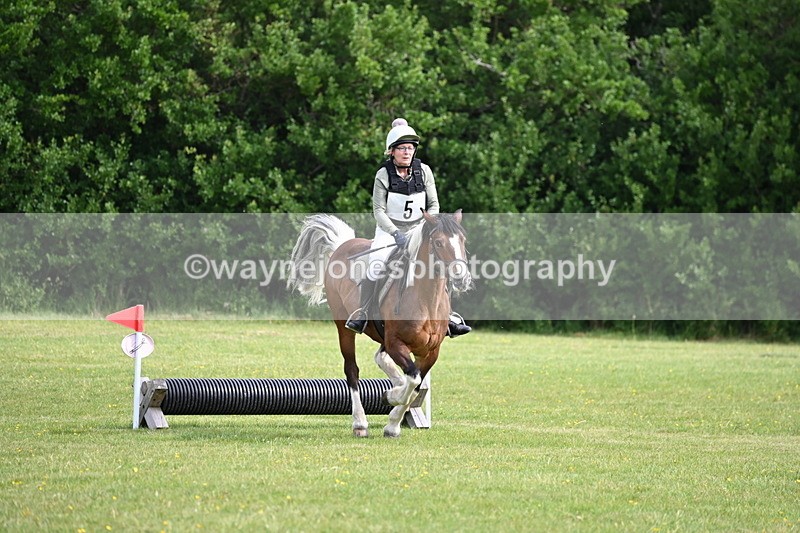 WJ6_2312 - Class 2 40cm