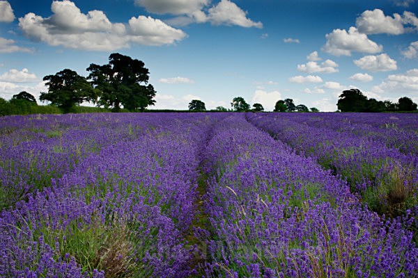  - Bath and the South West