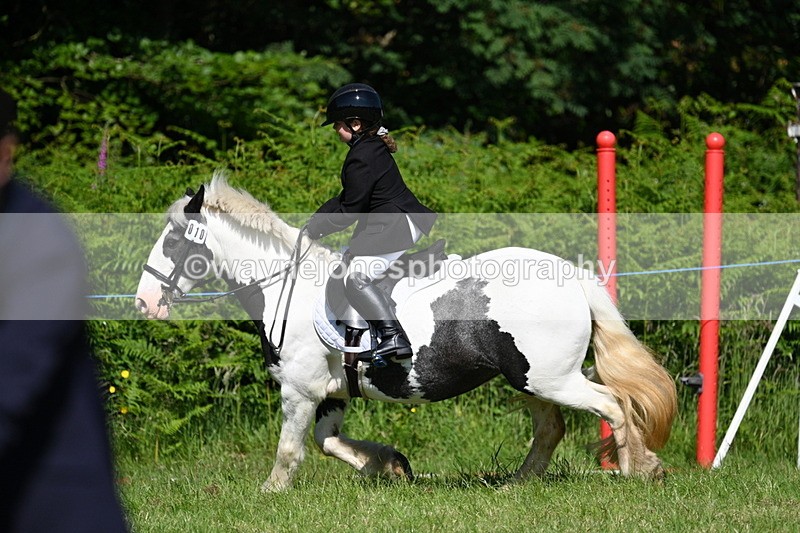 WJ7_0516 - Class 8 First Rally Pony