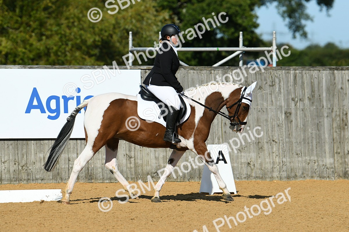 SBM_17905 - D4 - Small Tour Championship - Intro B