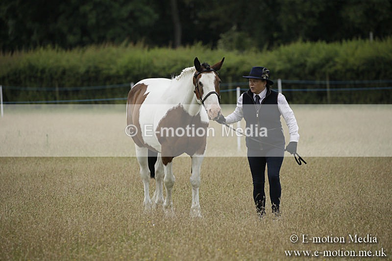 B230619-0290 - Bourne Valley Riding Club Summer Show 23/06/19