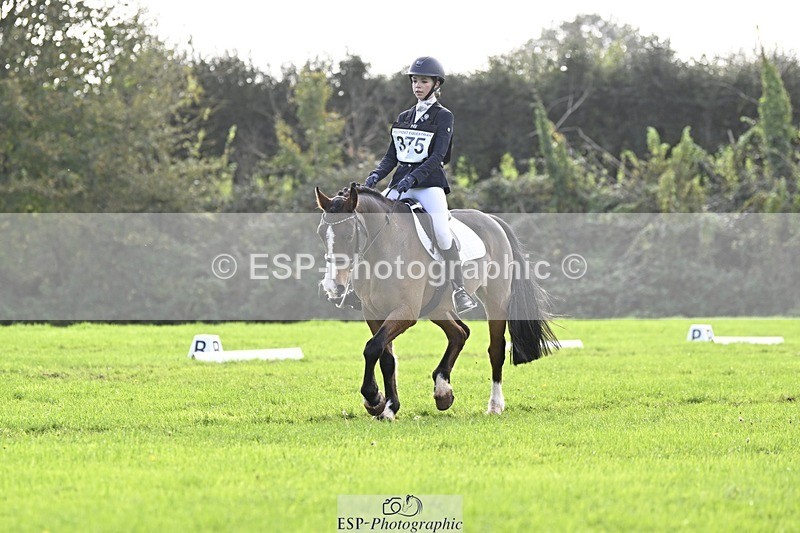 241025-121307-07044 - 375-Erin.Brown-50.SHADES.OF.BAY