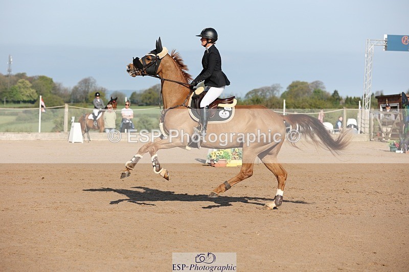 250427-085640-14672 - Cls 28 Young Horse 5yr old