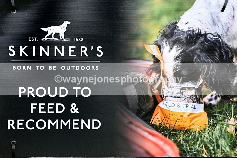 WJ5_9062 - Kimble Point ti Point - Family Dog Show 19-04-25