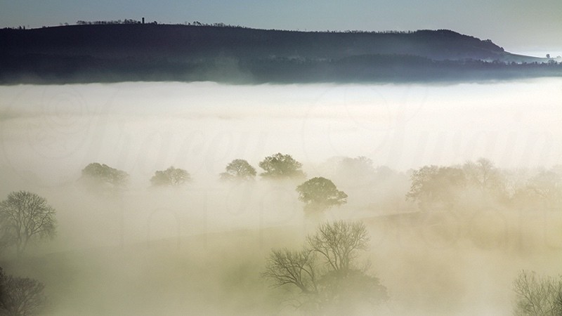 Blue Folly Fog_9433 - Air Element
