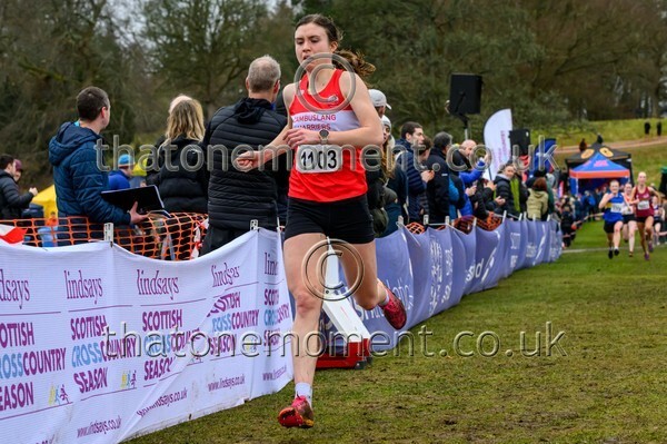 Falkirk26-913652 - Senior Women Set Two