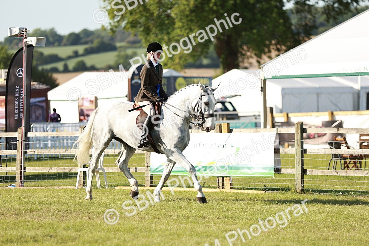 SBM_20079 - Class 115-116 - LIHS BSHA Rising Star Working Hunter & Show Horse
