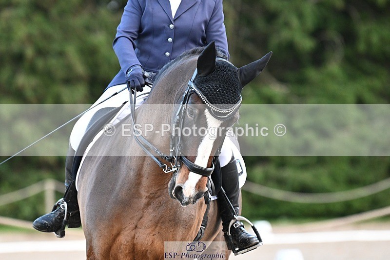 231110-145016-02047 - Cls 8 Medium 75Q