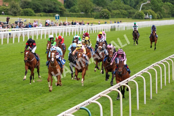 yr22052022r6-25 - Race 6: 6:05pm Sky Bet Sunday Series Stayers Stakes