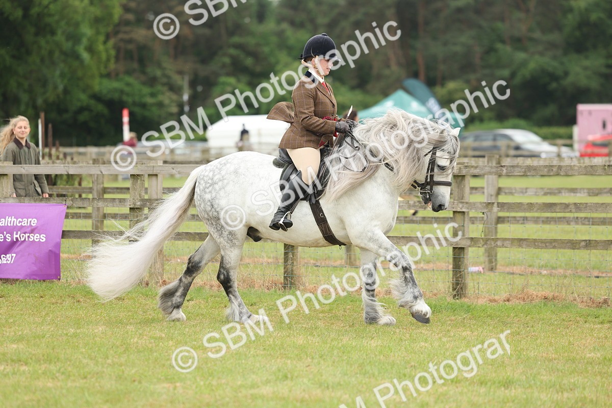 SBM_09060 - Class 78-80 - Ridden M&M Non Welsh Ponies