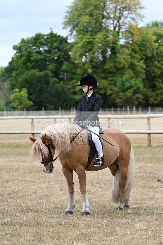WJ7_7486 - Class 2 Best Rider