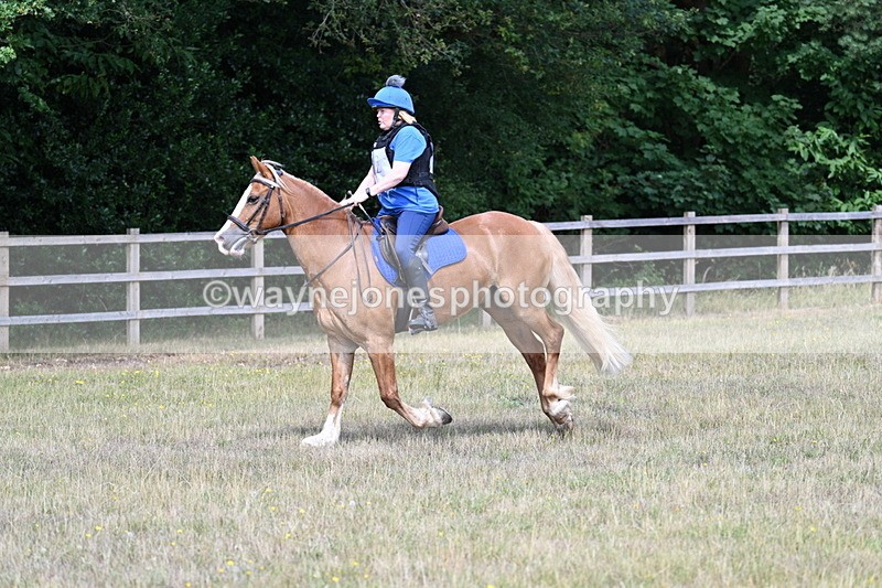 WJ7_0613 - 40cm Time 12:10 to 12:20