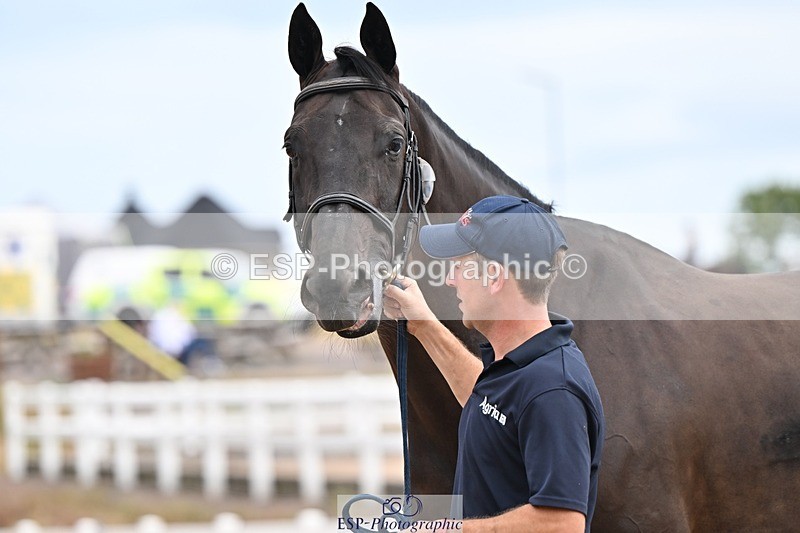 250716-152514-01927 - Trot Up 2.30 to 3.30