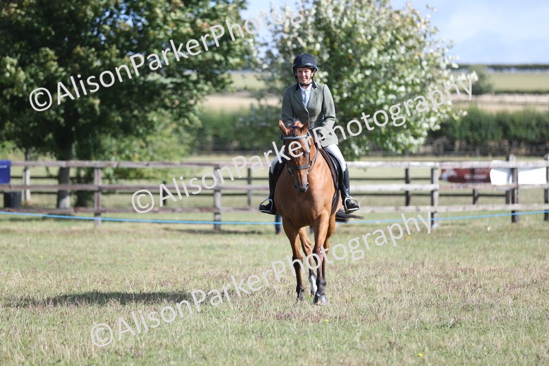 20250831-0830 - Class 14 - Ex Racehorse