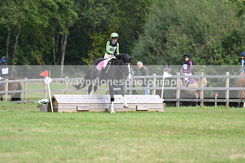 WJ7_8930 - 60cm Time 12:31 to 12:50