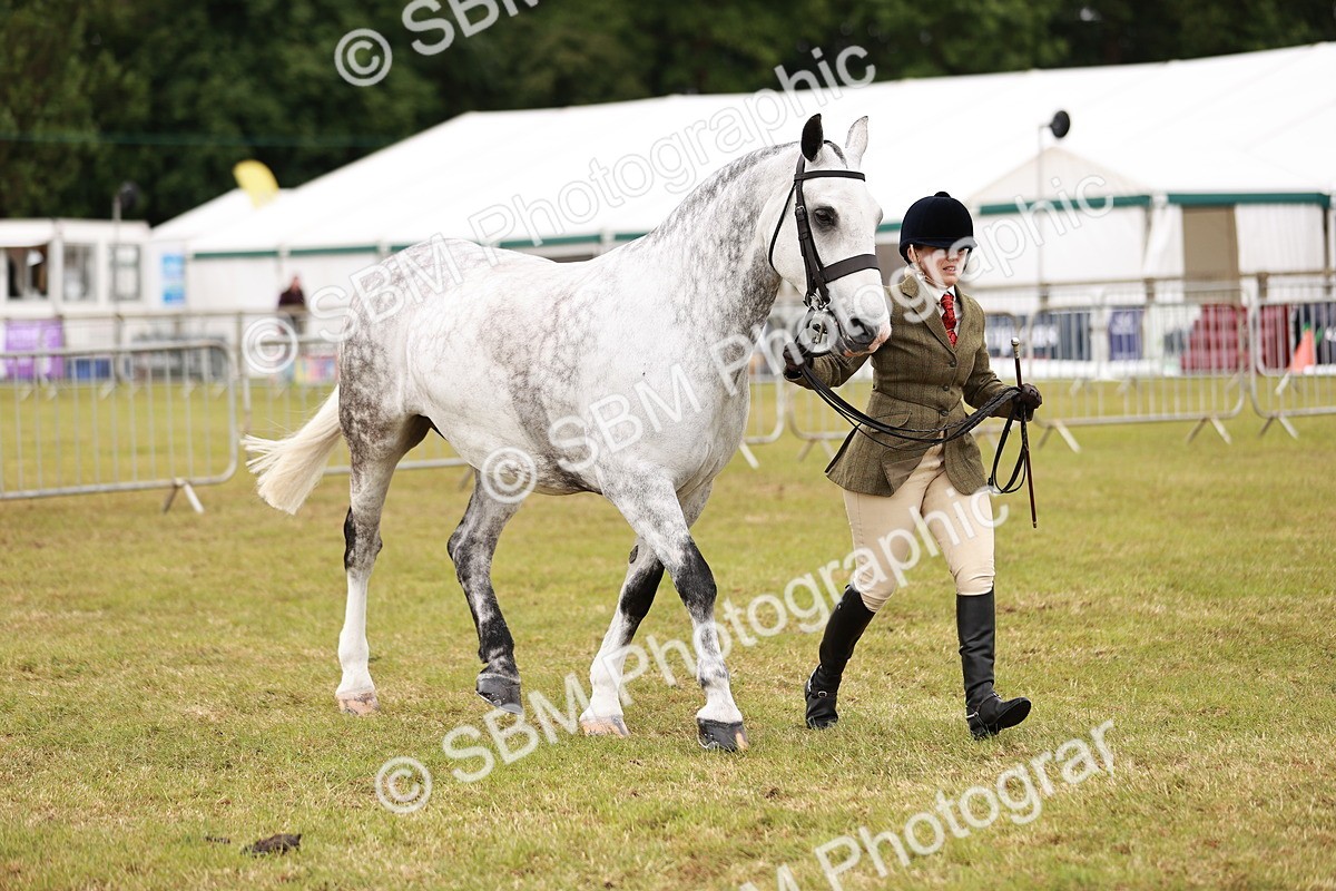 SBM_13052 - Class 85-87 - RIHS Cobs