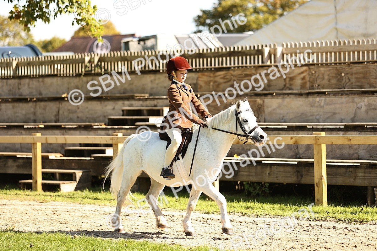 SBM_19256 - S3 - TSR Ridden Pony Showing