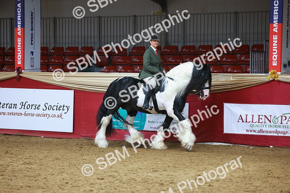 SBM_09389 - Class 102 - HOYS Veteran Qualifier - Ridden Veteran