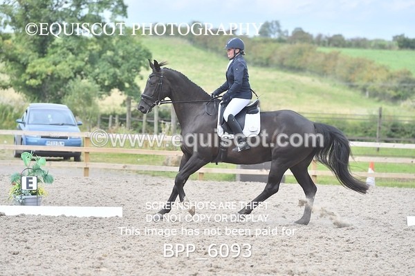 BPP_6093 - NOVICE TEST 4 + 6 LONG ARENA