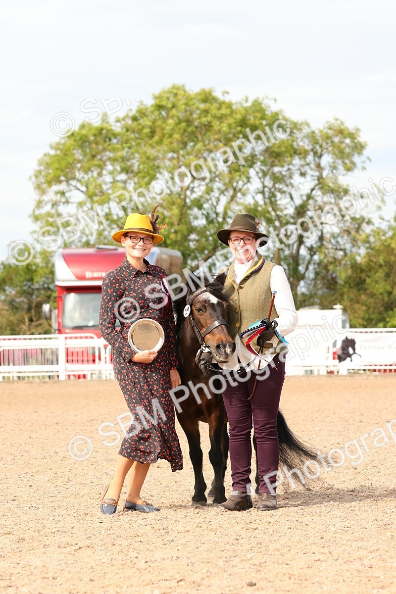 SBM_18048 - Class 707 - IH Groom - Helpers Glass
