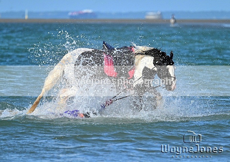 WJ7_3545_1 - Kellie & Churchill ... do Hayling Island 25-08-24