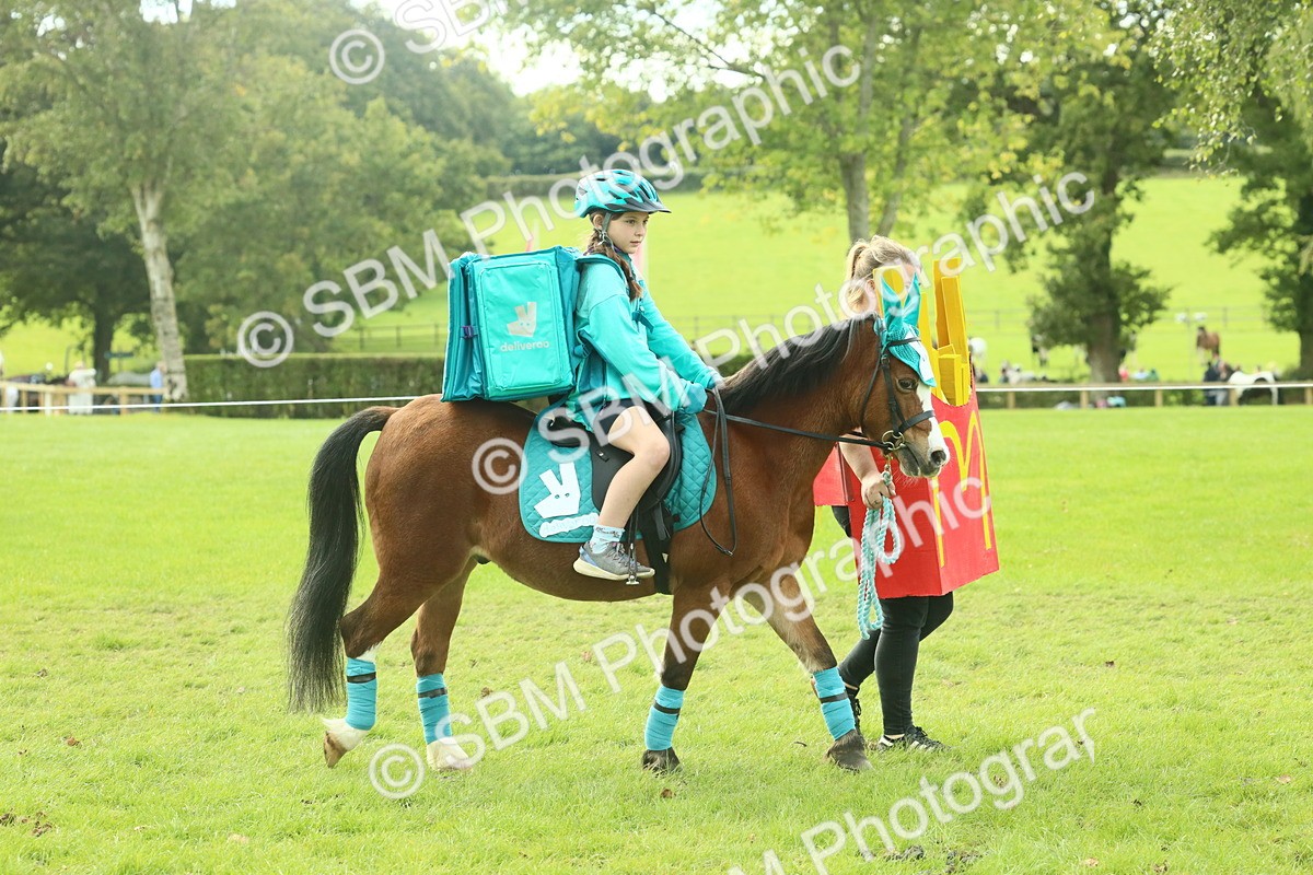 SBM_63488 - S35 - Fancy Dress Showing