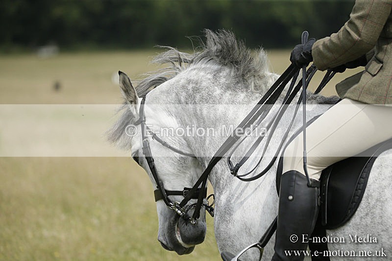 B230619-0472 - Bourne Valley Riding Club Summer Show 23/06/19
