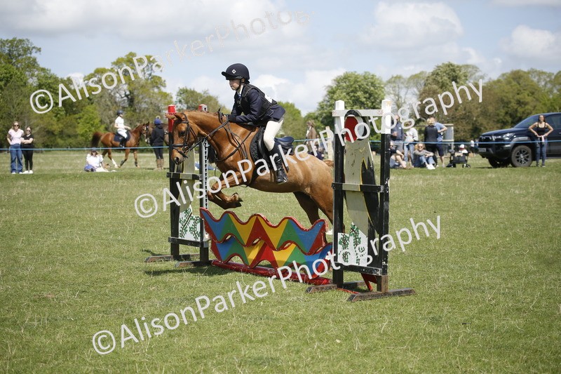 20250427-3500 - Class 14 - Absolute Novice 70cm