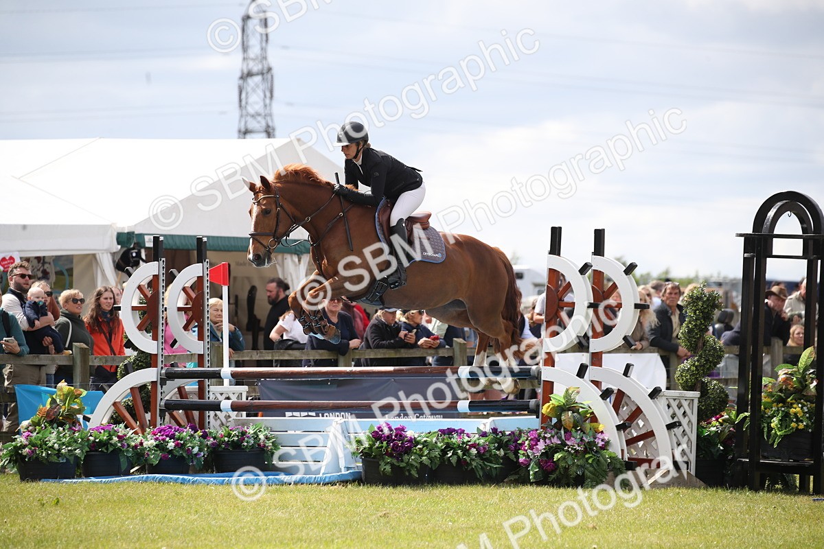 SBM_17482 - Class 208 - Senior Foxhunter 1.20m Open
