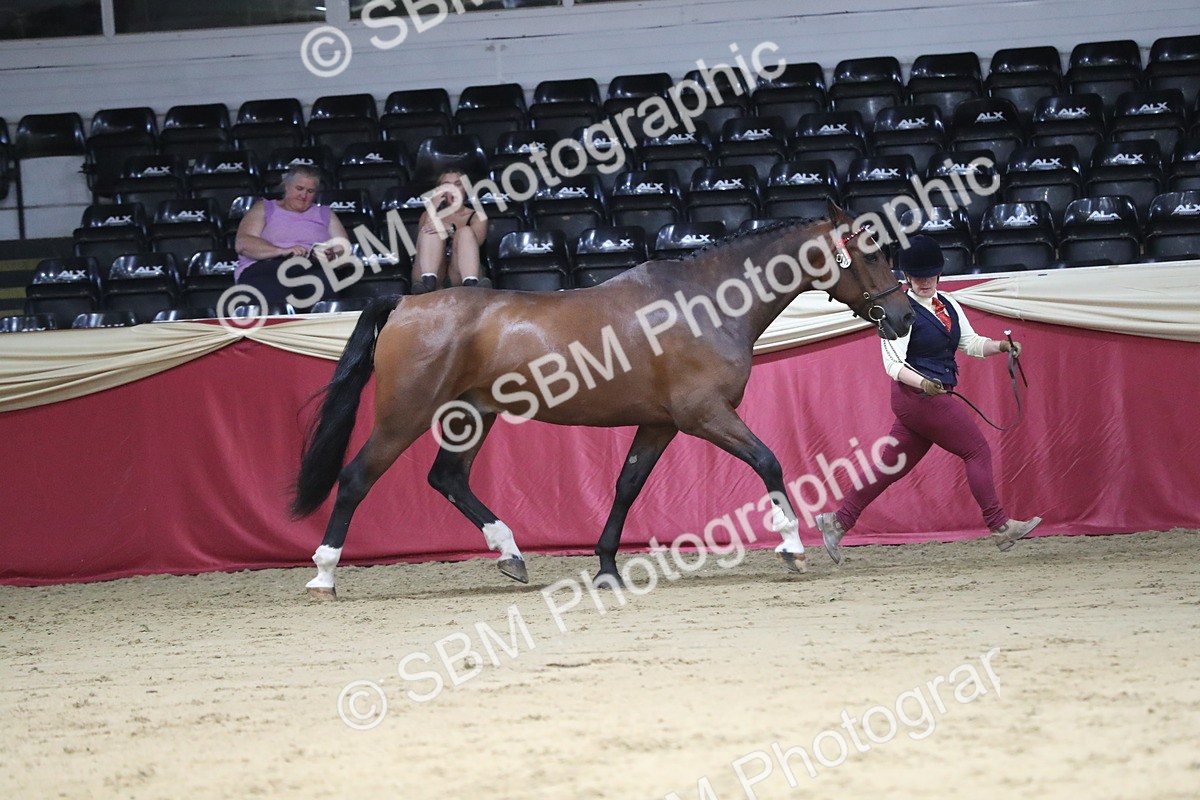 SBM_06303 - Class 9R Regional- IH Pre Vet