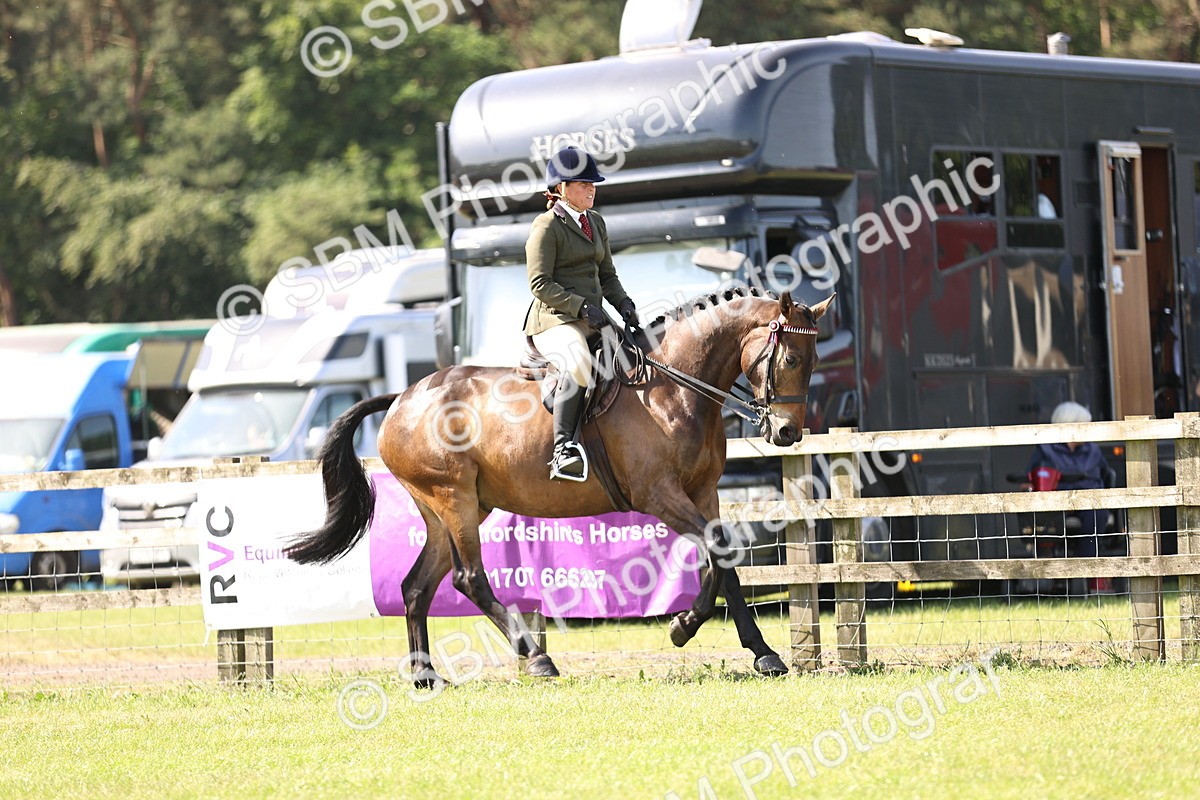 SBM_12994 - Class 75-76 LIHS BSHA Rising Star Hack Riding Horse