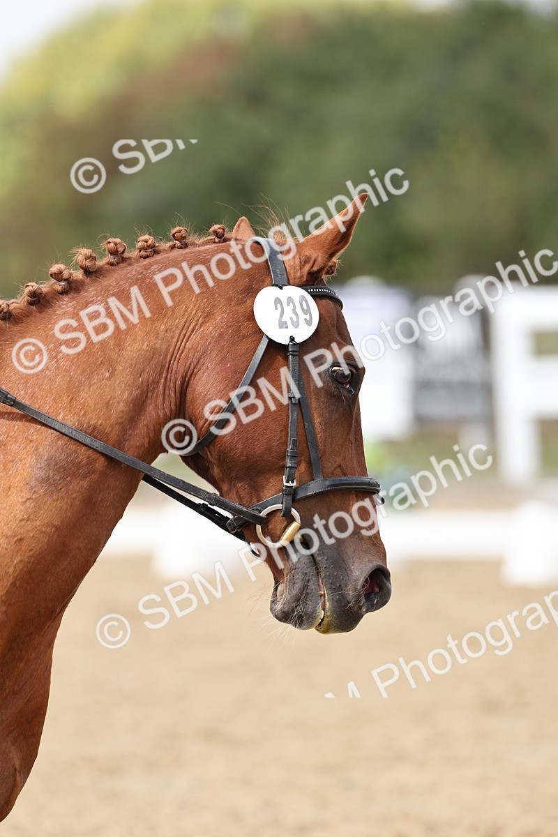 SBM_018808 - Class 16 - Novice 5 - 12.08-13.11