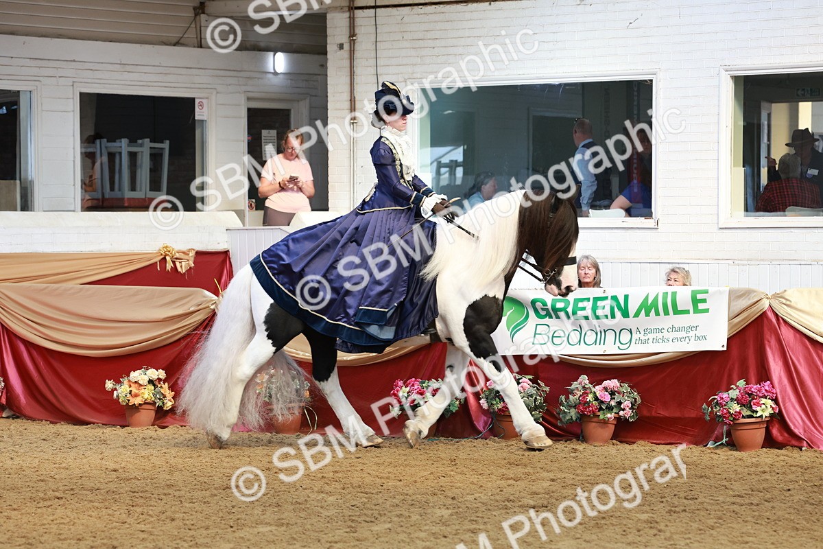 SBM_13733 - Class 106 - Ridden Costume -Astride Adult (15-19)