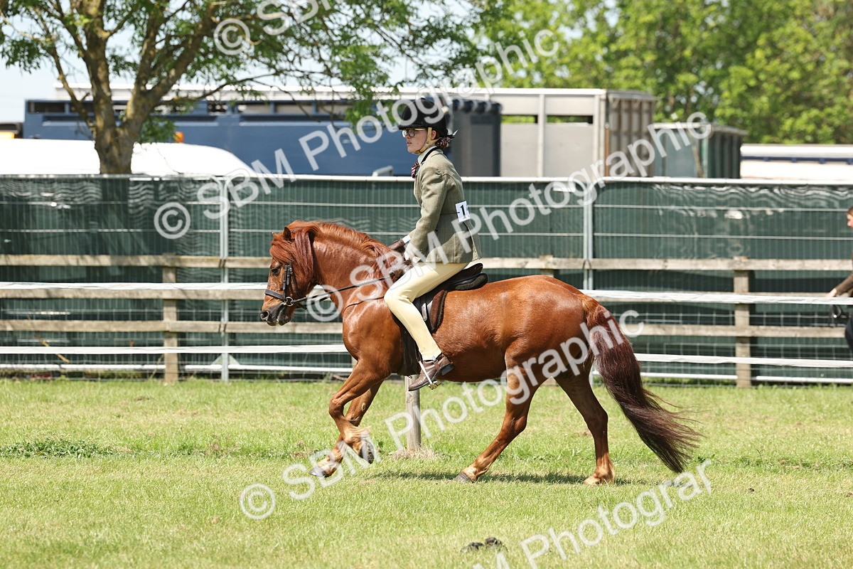 SBM_06849 - Class 26-30 - Mountain and Moorland Ridden