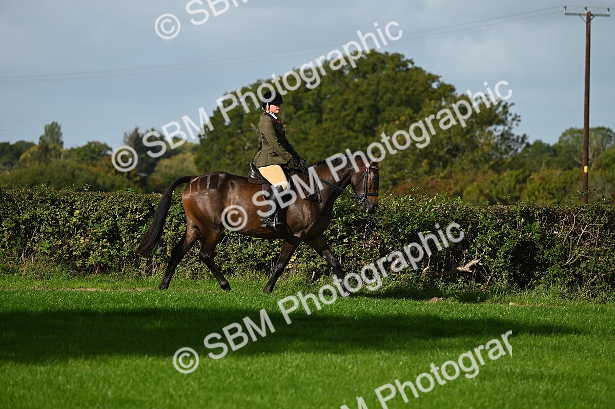 SBM_01277 - S2 - TSR Ridden Horse Showing