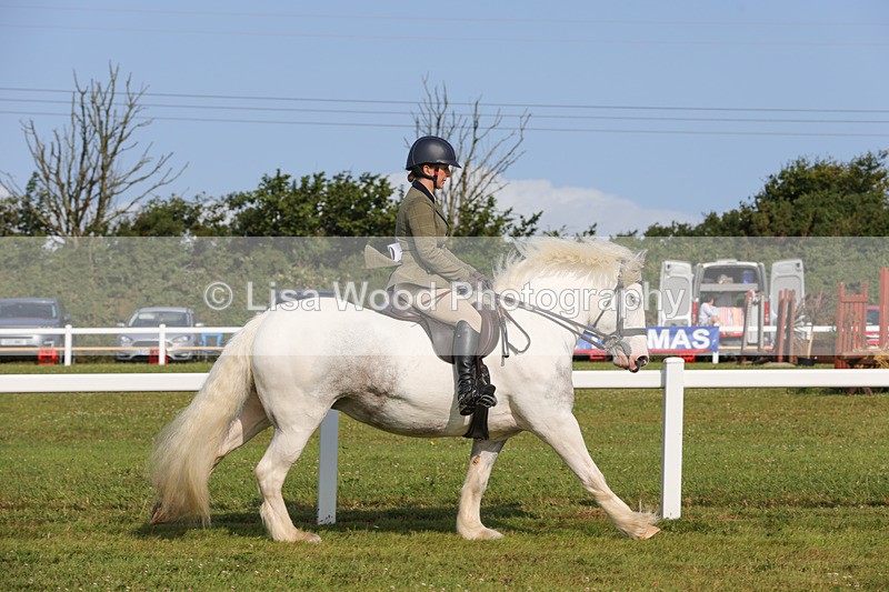 1X9A3250 - Class 28: Ridden Native/Trad Coloured Pony