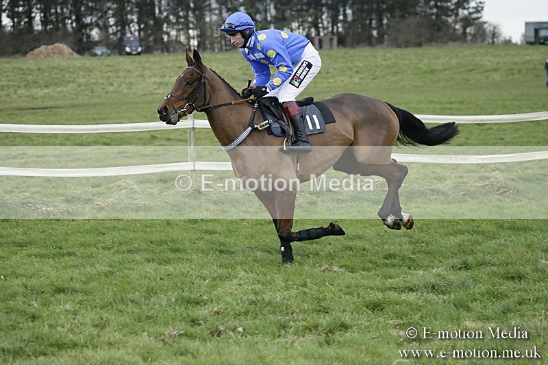 PtP 031217 343 - Hursley Hambledon Point-to-Point Larkhill 03/12/17
